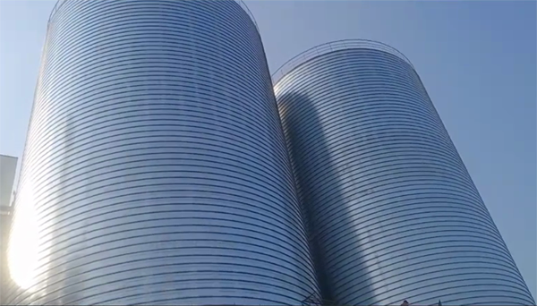 洛隆2座混凝土高架卷板仓